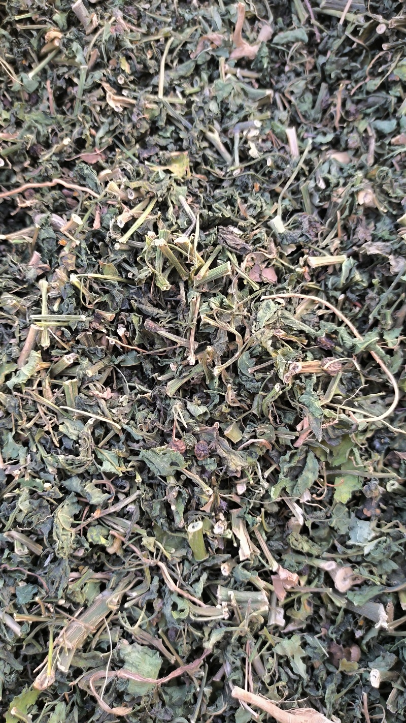 龙葵中药材批发龙葵质量保证量大从优
