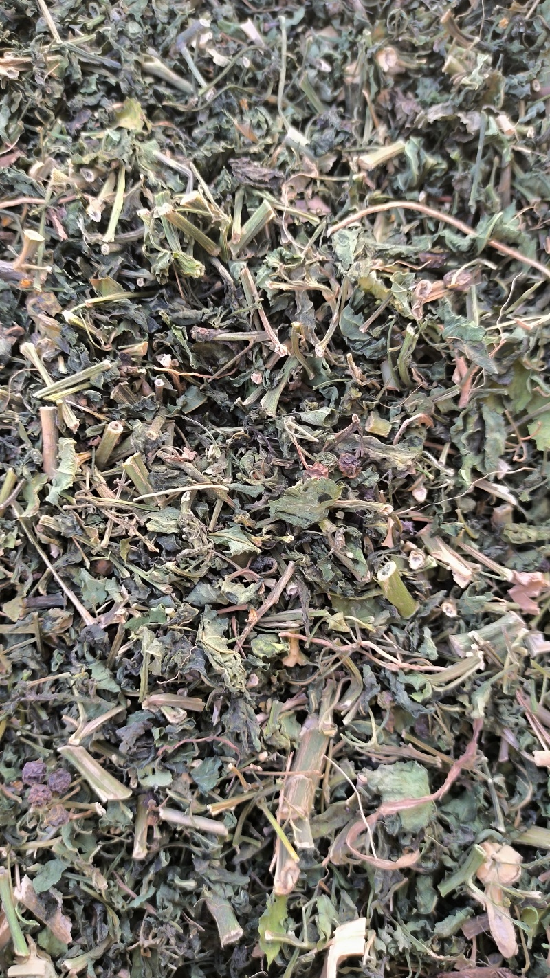龙葵中药材批发龙葵质量保证量大从优