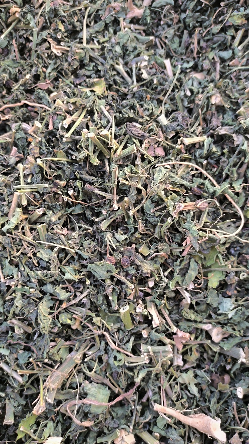 龙葵中药材批发龙葵质量保证量大从优