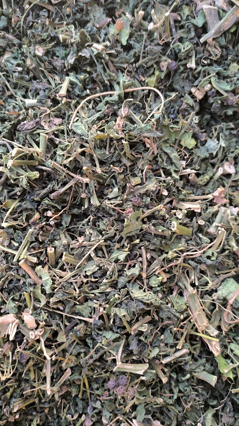 龙葵中药材批发龙葵质量保证量大从优