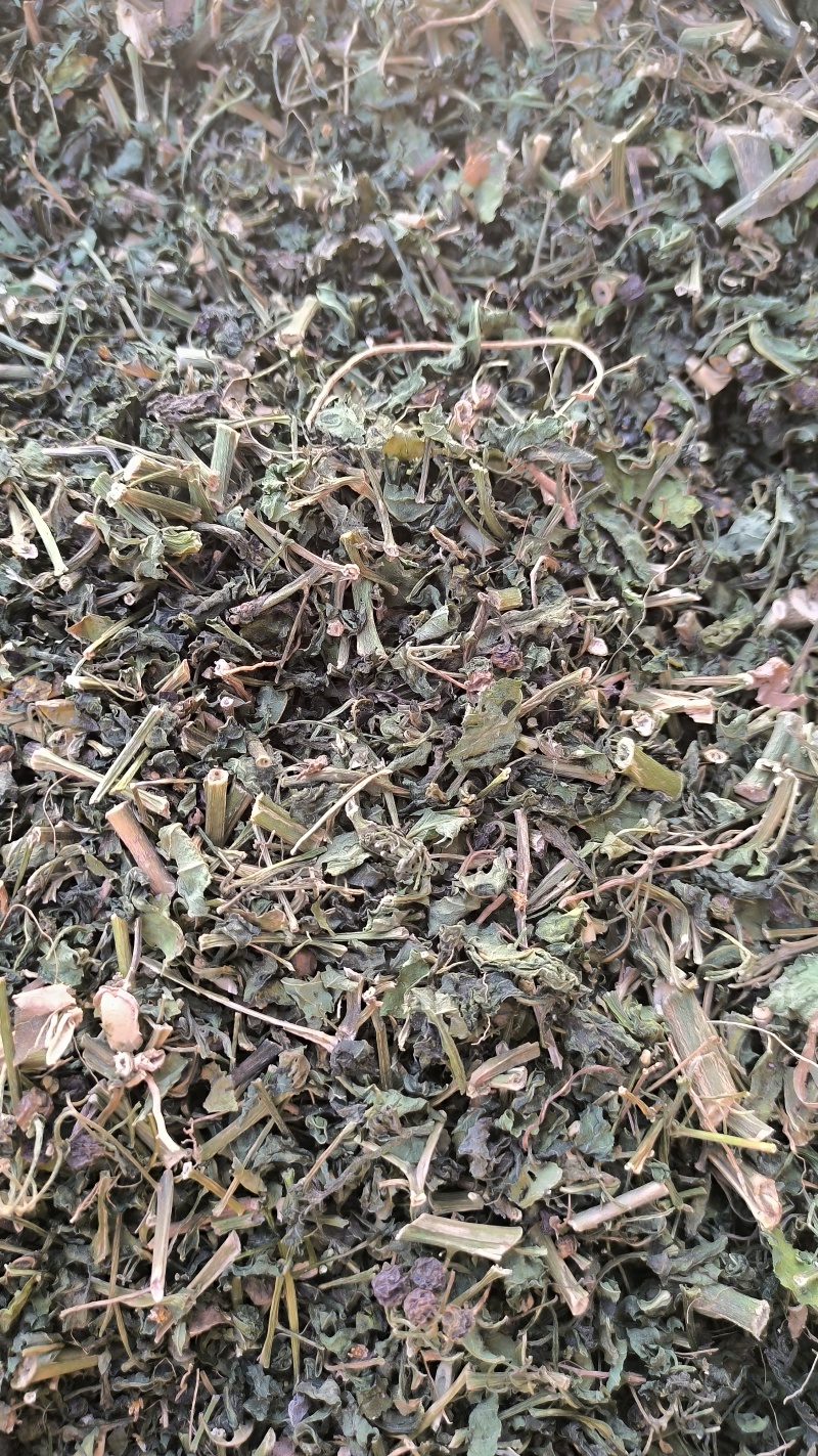 龙葵中药材批发龙葵质量保证量大从优