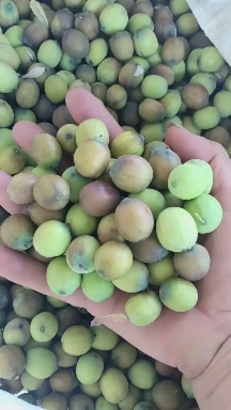 新鲜红莲子江西本地新鲜红莲子，大量上市产地直供，欢迎来电