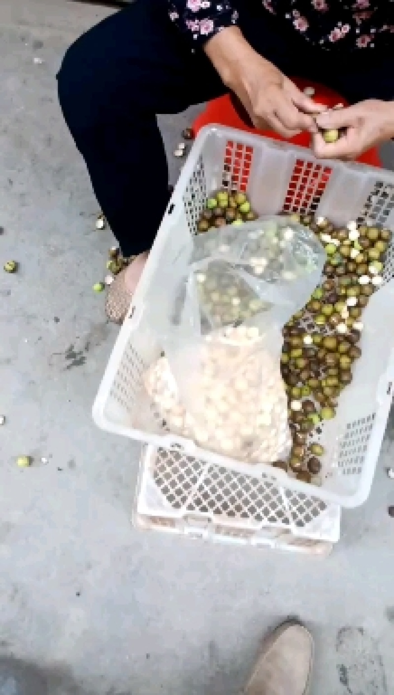 新鲜红莲子江西本地新鲜红莲子，大量上市产地直供，欢迎来电