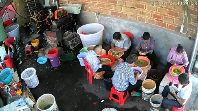 新鲜红莲子江西本地新鲜红莲子，大量上市产地直供，欢迎来电