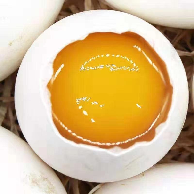 大桶蛋