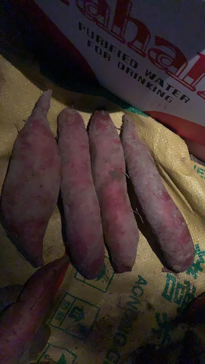 工厂货一点红冰淇淋次品红薯牛薯养殖薯淀粉薯