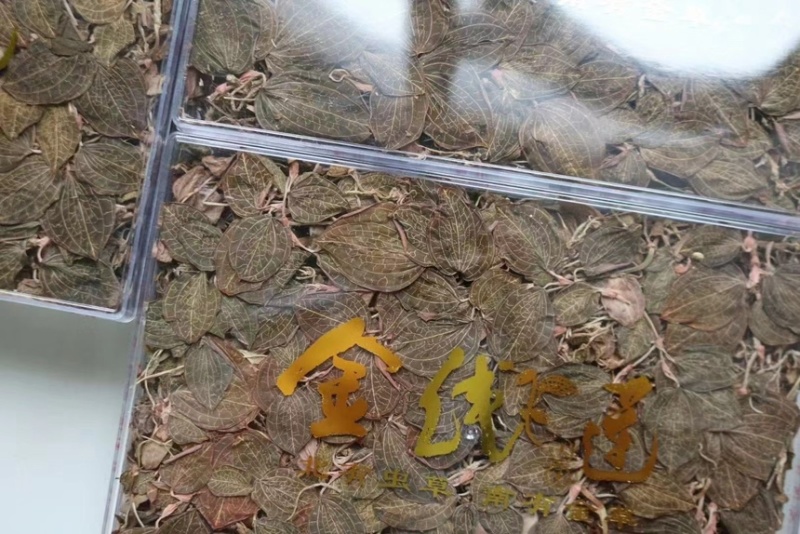 林下仿野生金线莲