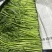 【稳定供货】江苏精品茼蒿大量上市新鲜供应对接市场商超批发