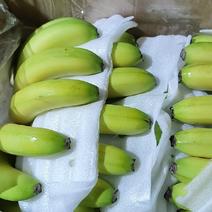 香蕉七成熟