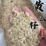 黄瓜子清香味道不要贪便宜买到油性臭味炒非种植种子