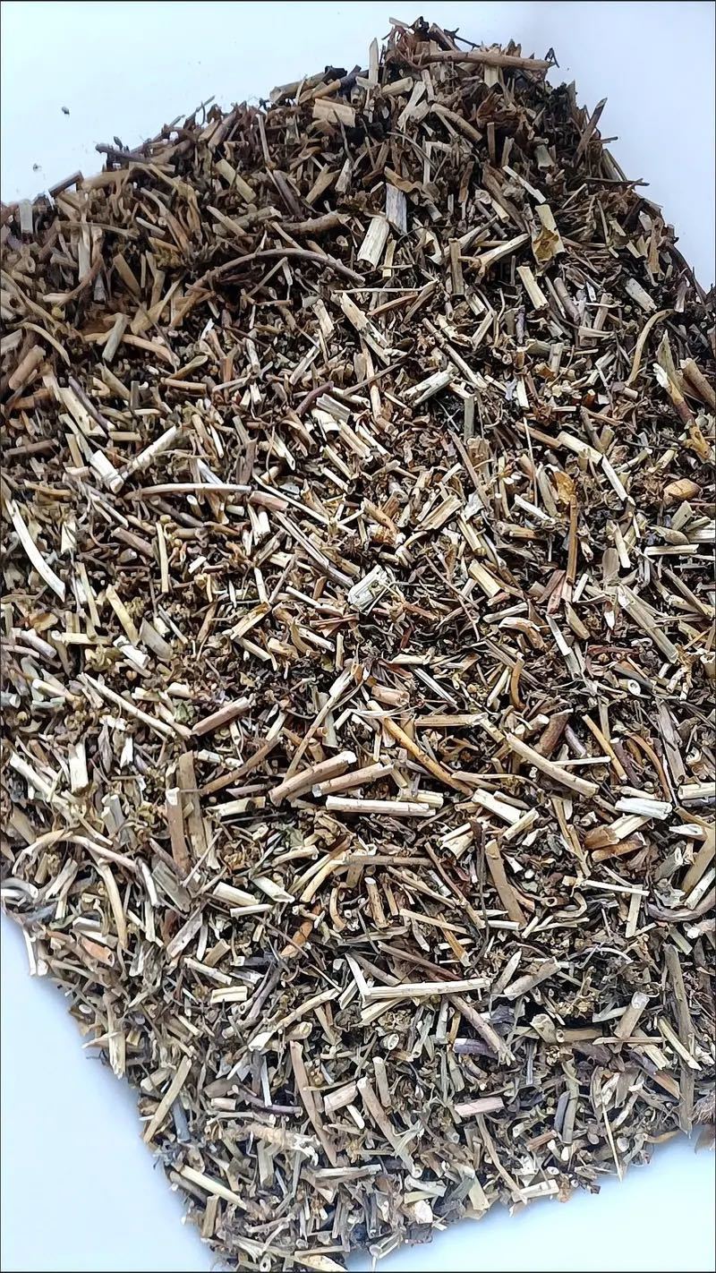 泽漆干货猫眼草实拍