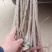 【美早樱桃苗】甘肃天水樱桃苗品种齐全欢迎咨询