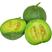 绿宝石甜瓜产地直发对接商超市场电商现摘现发质量保证