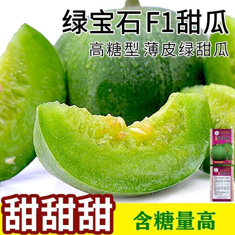 绿宝石甜瓜产地直发对接商超市场电商现摘现发质量保证