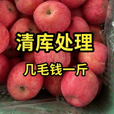 【坏果包赔】精品红富士苹果批发产地一手货源全国发货