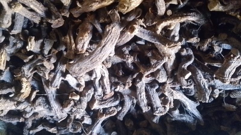 【精品】云南深山骨碎补，保质保量，不零售，量少匆扰
