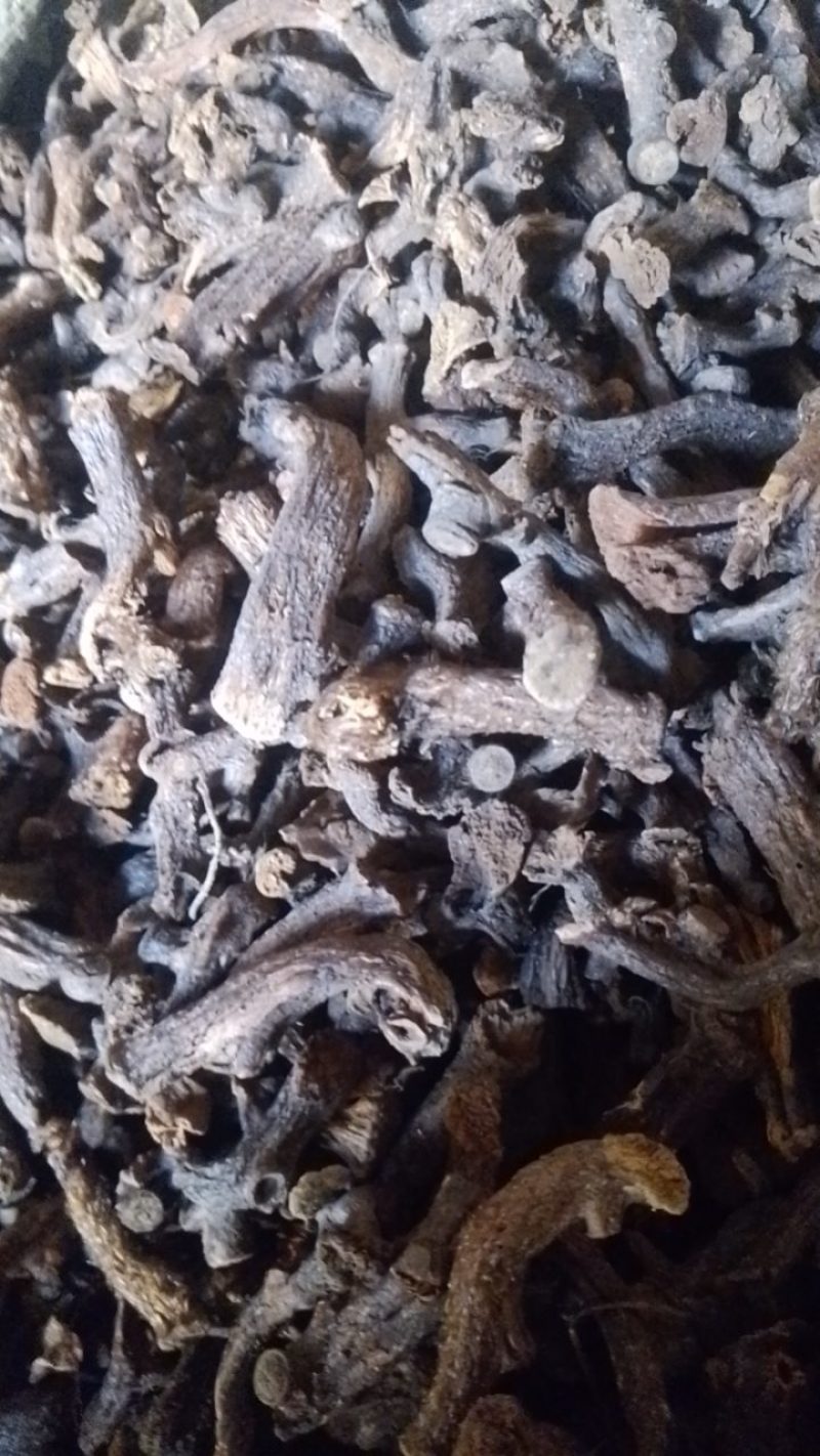 【精品】云南深山骨碎补，保质保量，不零售，量少匆扰