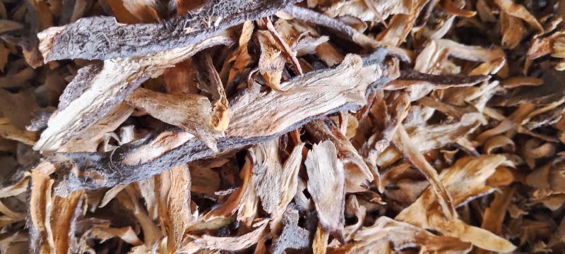 【精品】云南深山骨碎补，保质保量，不零售，量少匆扰