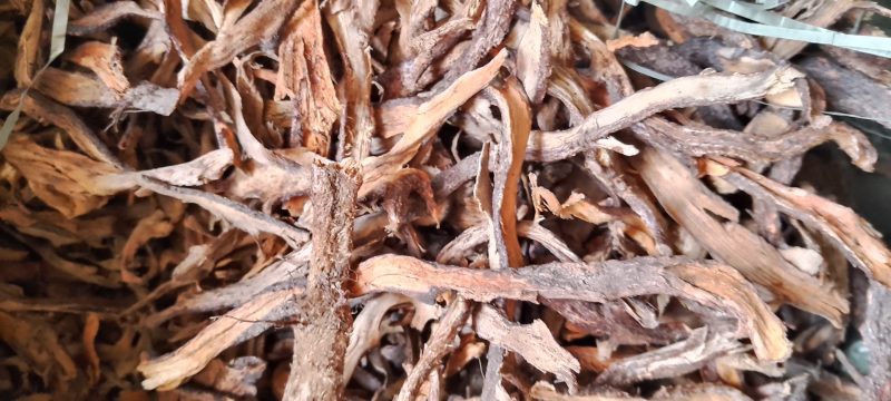 【精品】云南深山骨碎补，保质保量，不零售，量少匆扰