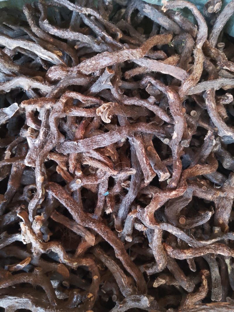 【精品】云南深山骨碎补，保质保量，不零售，量少匆扰