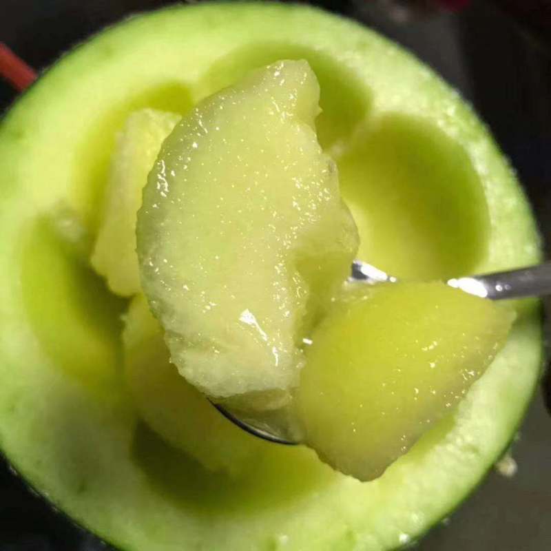 哈密瓜网纹瓜