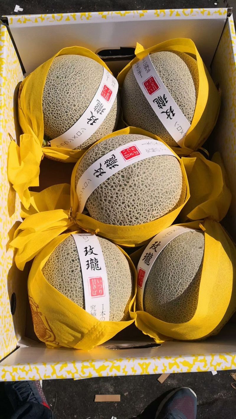 哈密瓜网纹瓜
