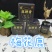 正宗梅花鹿鹿乡正品鹿鞭膏一瓶300克产地直发