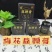 正宗梅花鹿鹿乡正品鹿鞭膏一瓶300克产地直发
