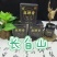 正宗梅花鹿鹿乡正品鹿鞭膏一瓶300克产地直发
