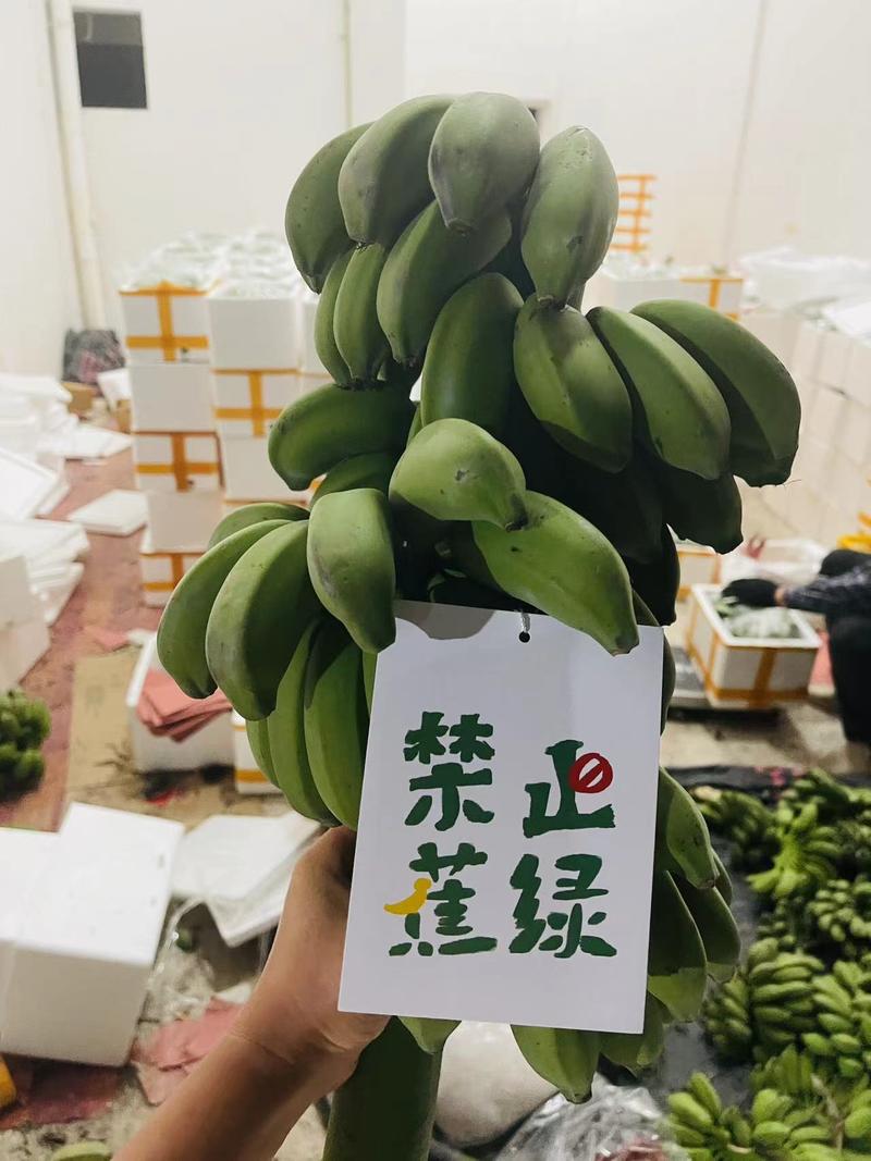 禁止蕉绿整串小米蕉苹果蕉一件代发多规格