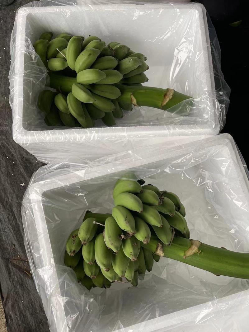 禁止蕉绿整串小米蕉苹果蕉一件代发多规格