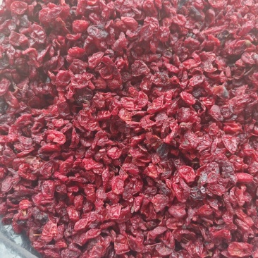 山茱萸山萸肉无硫无核手工萸肉