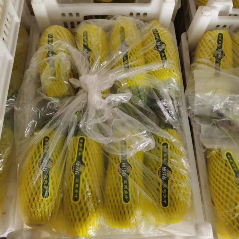 莘县博洋61甜瓜，羊角蜜，产地直供对接商超品质，源头精品
