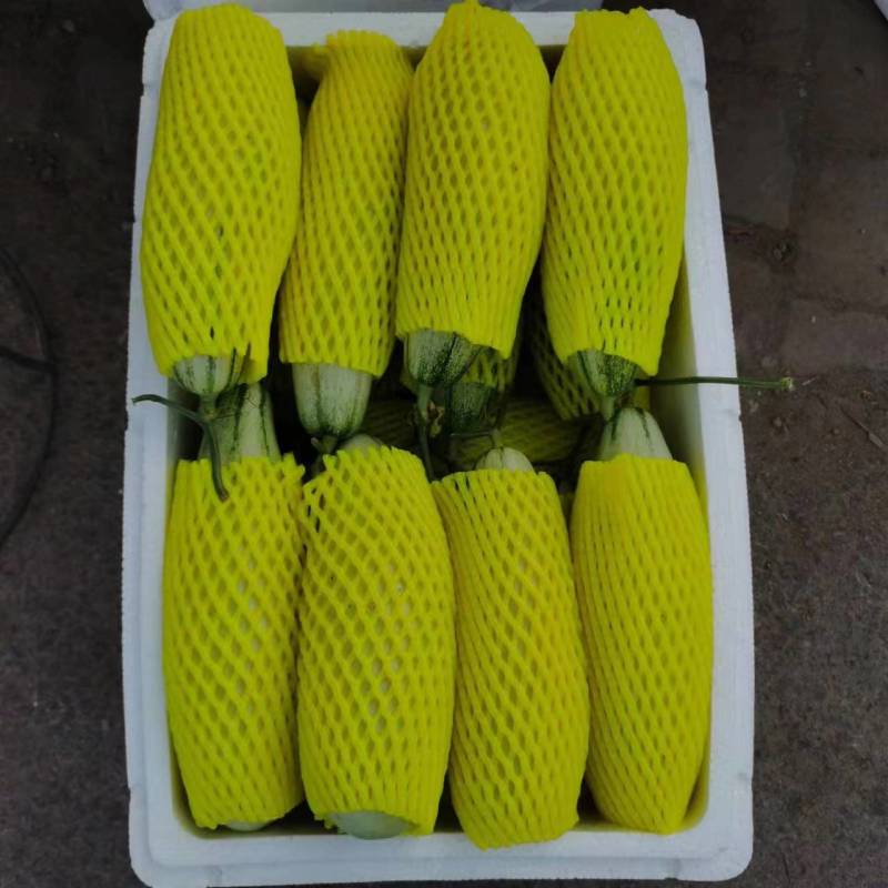 莘县博洋61甜瓜，羊角蜜，产地直供对接商超品质，源头精品
