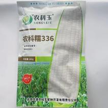 北京农科糯336甜糯玉米种子鲜食白甜糯粘玉米种子农科玉原