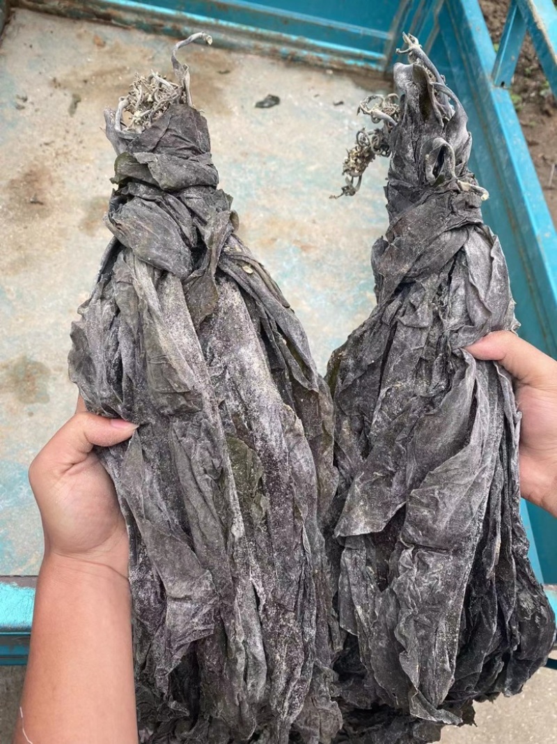 福建特级无沙干海带天然日晒厚海带干货特产
