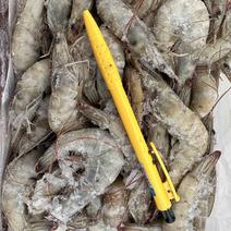 厄瓜多尔白虾有信干冰70-80