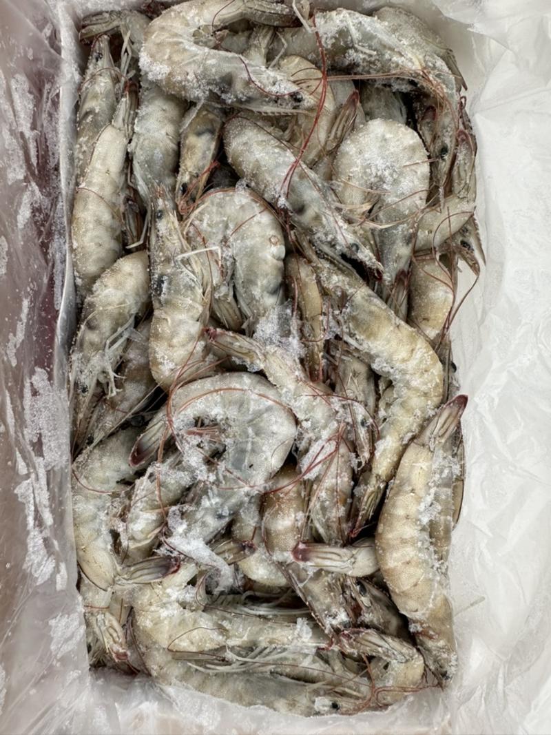 厄瓜多尔白虾有信干冰70-80