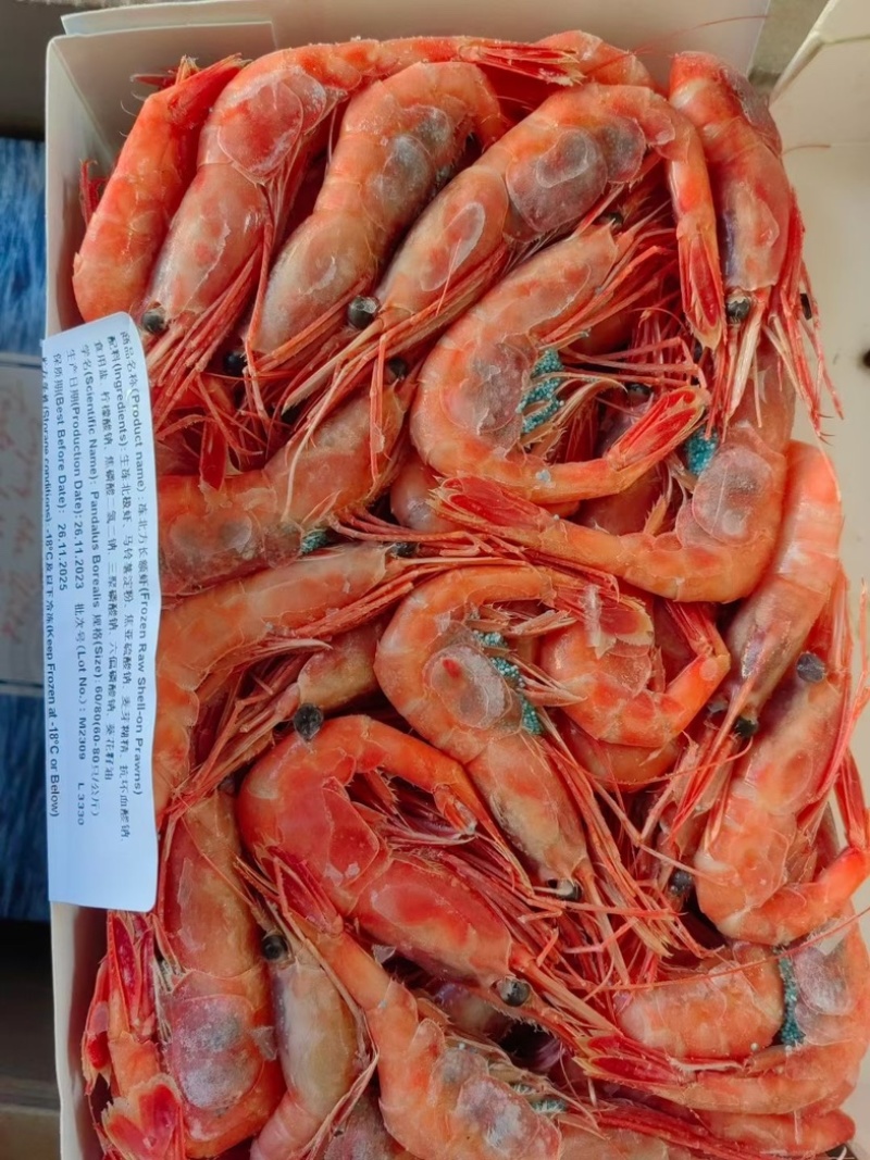 加拿大甜虾