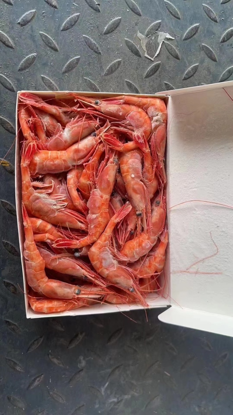 加拿大甜虾