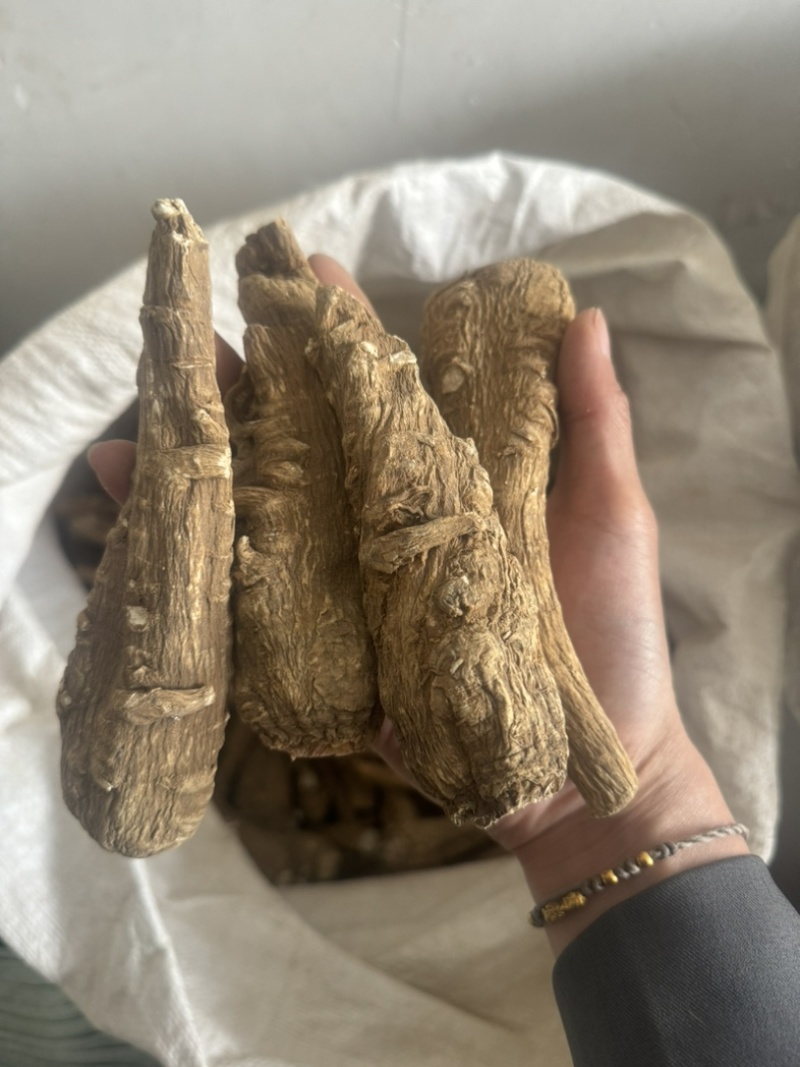 新货白芷干货另有白芷片白芷个子大料白芷川白芷