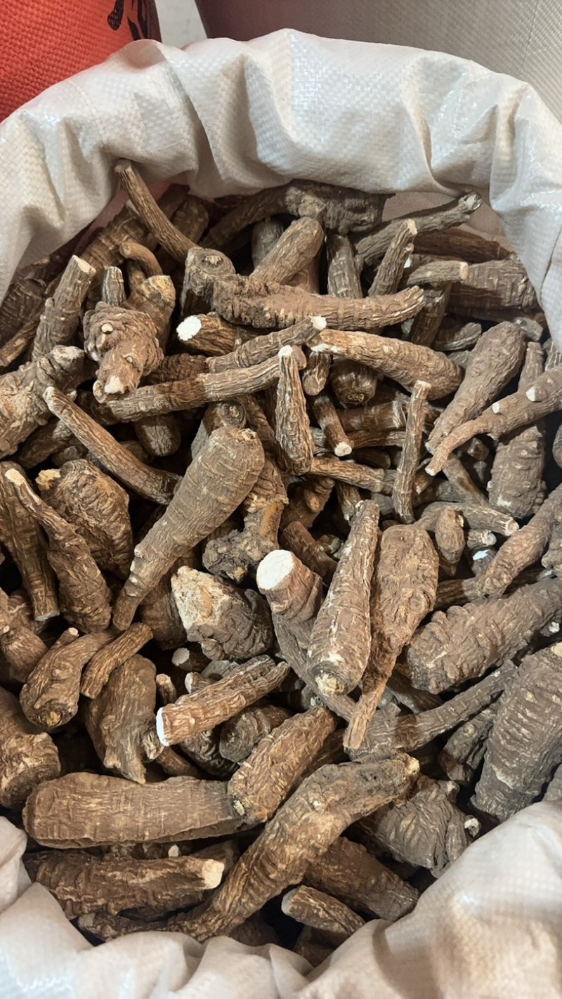 新货白芷干货另有白芷片白芷个子大料白芷川白芷