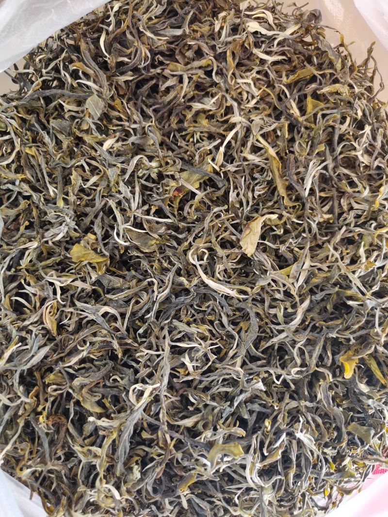 普洱夏茶