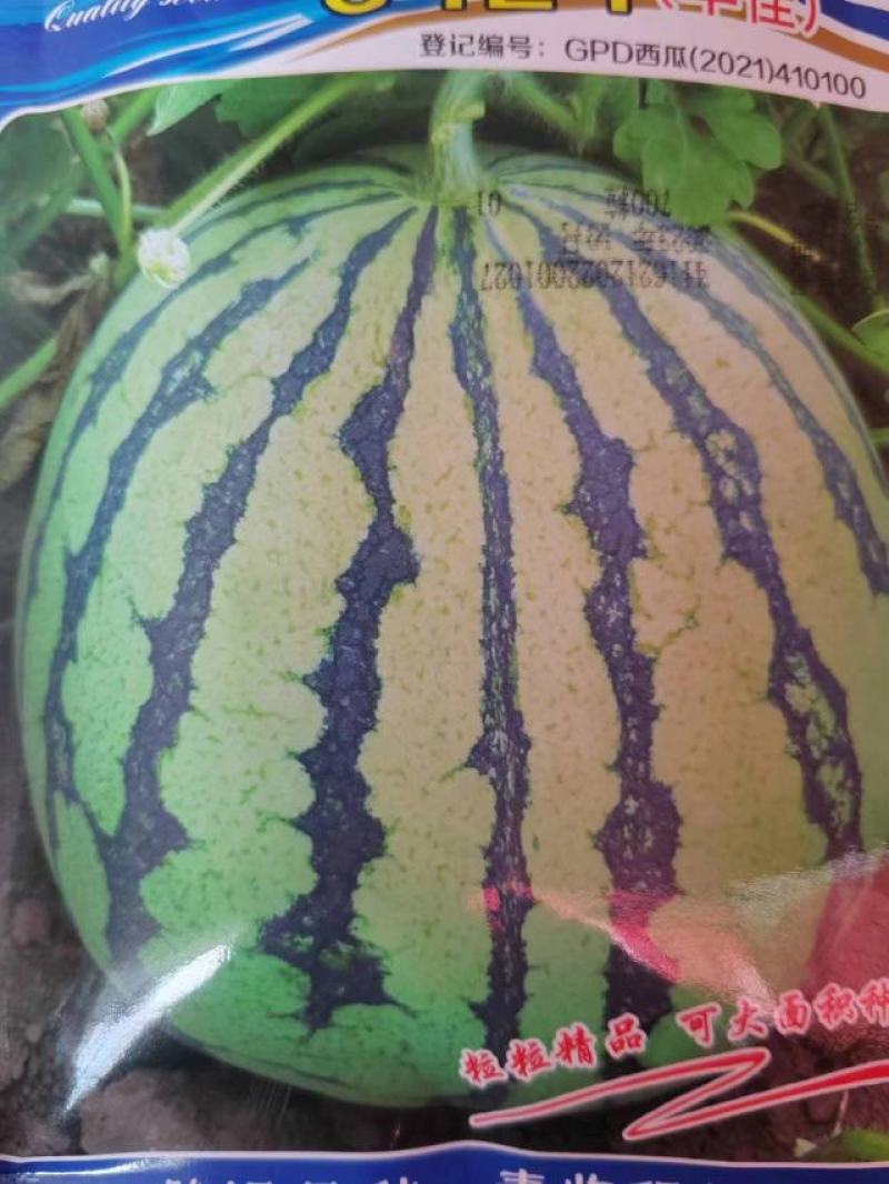 早佳9424西瓜种子含糖量在14度左右单瓜重8至10公