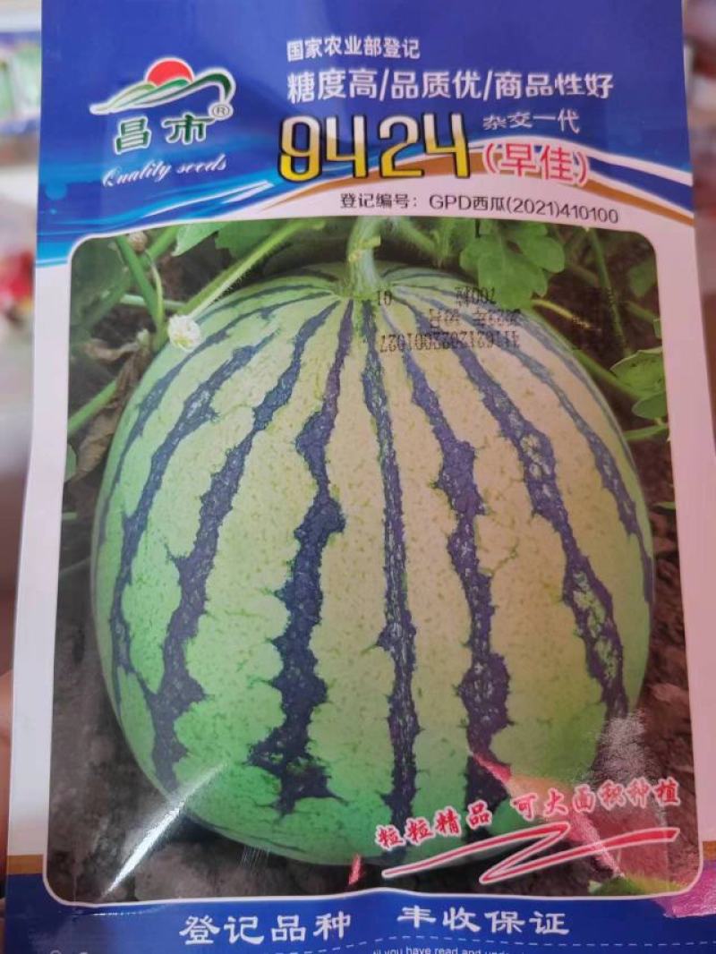 早佳9424西瓜种子含糖量在14度左右单瓜重8至10公