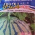 早佳9424西瓜种子含糖量在14度左右单瓜重8至10公