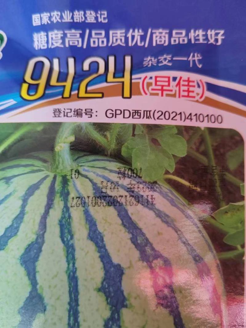 早佳9424西瓜种子含糖量在14度左右单瓜重8至10公