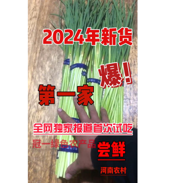 2024年新货红帽蒜苔支持一件代发