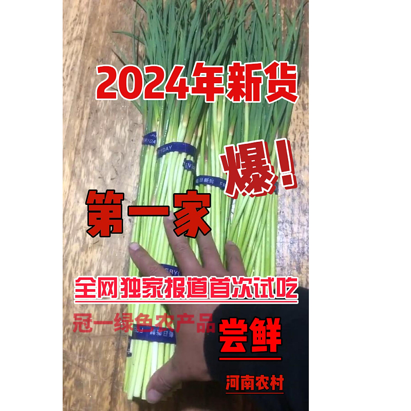 2024年新货红帽蒜苔支持一件代发