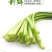 2024年新货红帽蒜苔支持一件代发